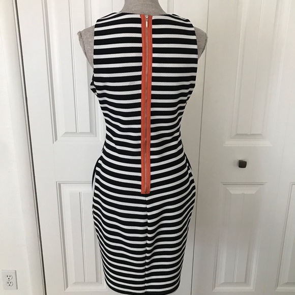 Sharagano🌺 Women’s B & W Striped Textured dress 6 - Picture 4 of 7